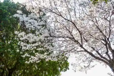 十日恵比須神社(福岡県)