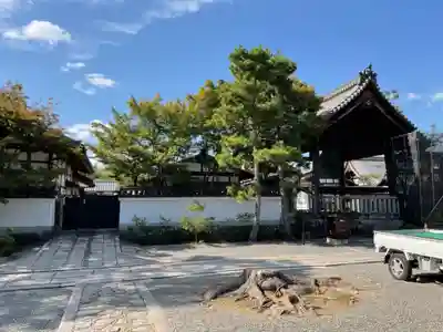妙心寺（妙心禅寺）(京都府)