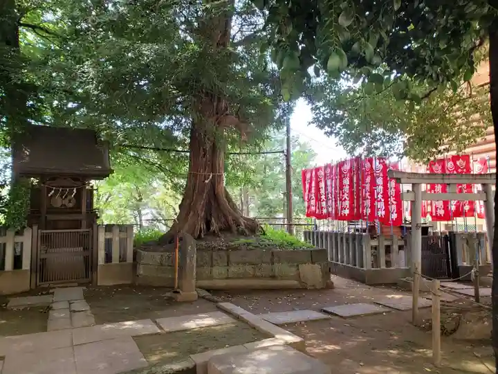 諏訪神社(東京都)
