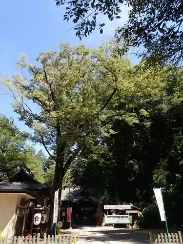 穴澤天神社の景色