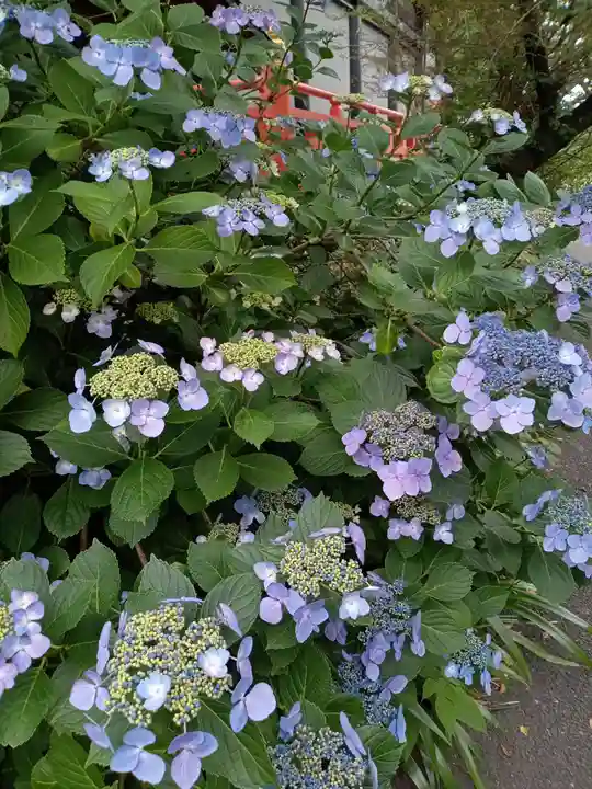 高幡不動尊 金剛寺の自然
