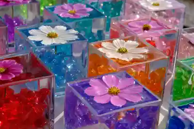 般若寺 ❁﻿コスモス寺❁(奈良県)