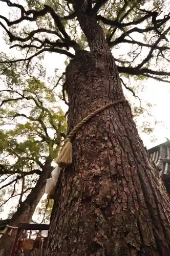 御袖天満宮(広島県)