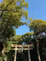 明治神宮の{uncategorized: "未分類", other: "その他", undefined: "問題あり", building: "その他建物", grave: "お墓", sacred_gate: "鳥居", guardian: "狛犬", statue: "像", buddha: "仏像", history: "歴史", nature: "自然", garden: "庭園", animal: "動物", pagoda: "塔", temizu: "手水舎", mountain_gate: "山門・神門", sanctuary: "本殿・本堂", subordinate: "末社・摂社", art: "芸術", scenery: "景色", jizo: "地蔵", ema: "絵馬", goshuin: "御朱印", omikuji: "おみくじ", items: "授与品その他", amulet: "お守り", goshuincho: "御朱印帳", eats: "食事", festival: "お祭り", votive_dance: "神楽", shichigosan: "七五三参", wedding: "結婚式", experience: "体験その他", initially: "初詣", around: "周辺", anti_infection: "感染症対策"}