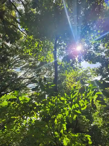 安養寺（立木観音）の自然