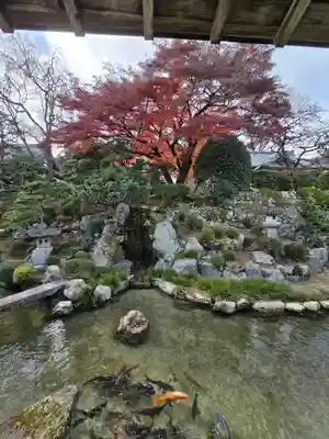 滋賀院門跡(滋賀県)
