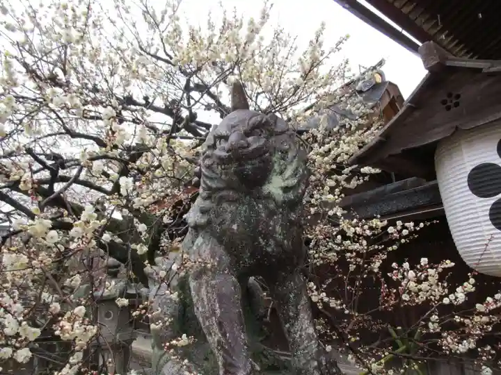 北野天満宮(京都府)