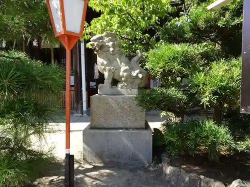 難波熊野神社の狛犬