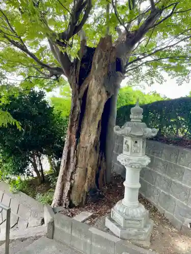 相模國分寺(神奈川県)