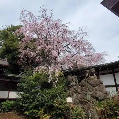 玉川神社の庭園