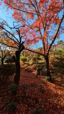 法金剛院(京都府)