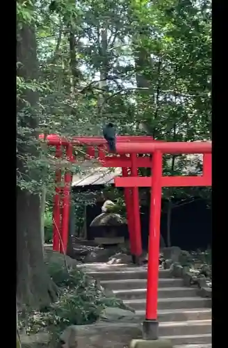 武蔵一宮氷川神社(埼玉県)