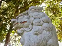 菊田神社の狛犬