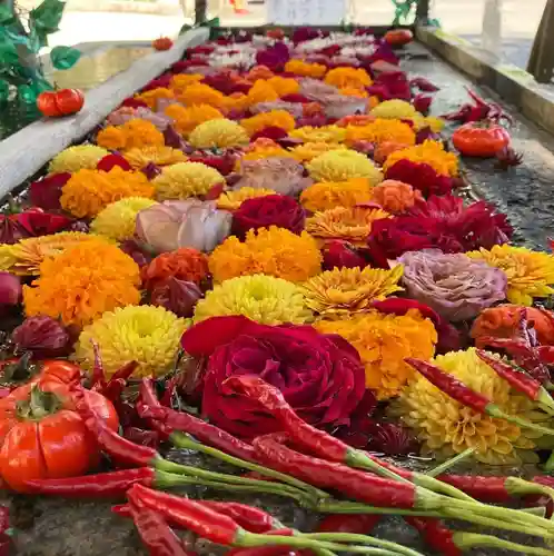 津島神社の手水舎