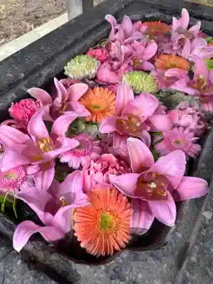 北広島市総鎮守　廣島神社(北海道)