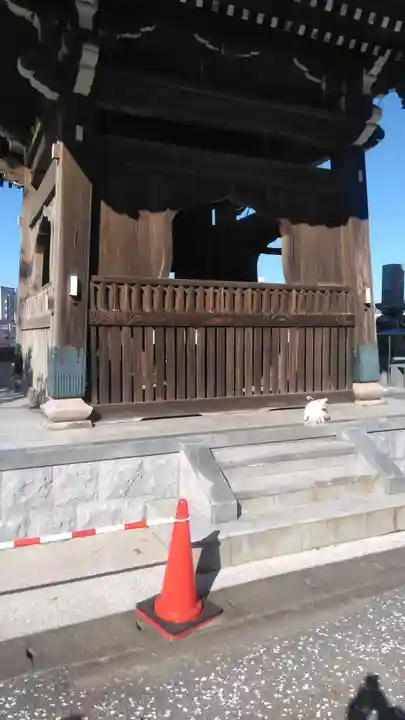 大音寺のその他建物