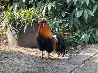 助松神社(大阪府)