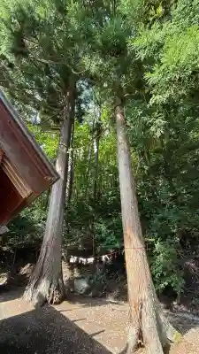 高宮神社(北海道)