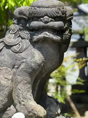 高木神社の狛犬