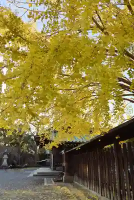 三嶋大社(静岡県)