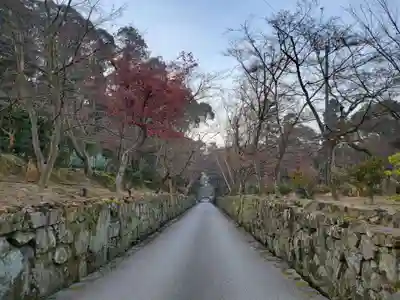 興聖寺(興聖寶林禅寺)(京都府)