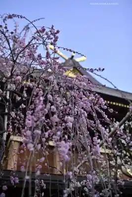 湯島天満宮(東京都)