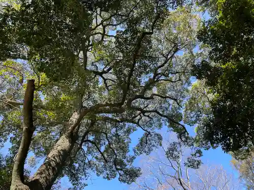 賀茂御祖神社（下鴨神社）の自然