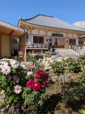禅定院(東京都)