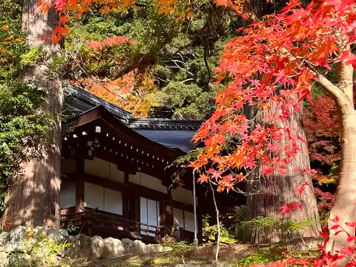 弘川寺(大阪府)