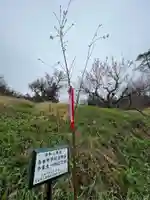 国宝 大法寺(長野県)