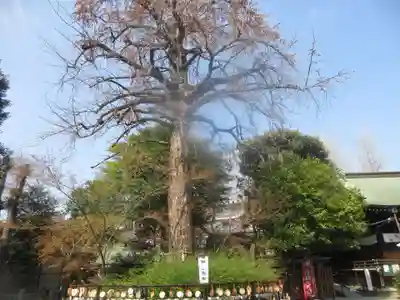 七社神社(東京都)