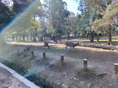 春日大社(奈良県)