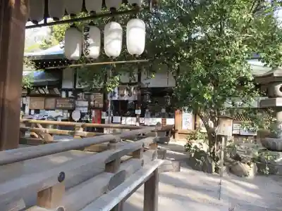 白峯神宮の本殿・本堂