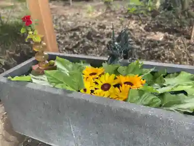 下野 星宮神社の手水舎