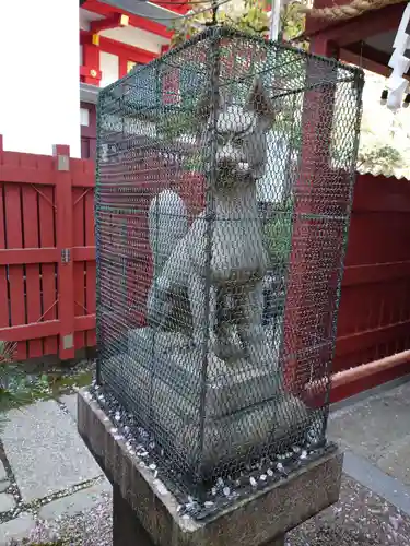 御霊神社の狛犬