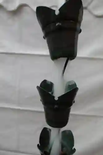 射楯兵主神社の自然