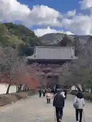 醍醐寺(京都府)