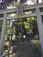 八幡神社(樺八幡神社)(福井県)
