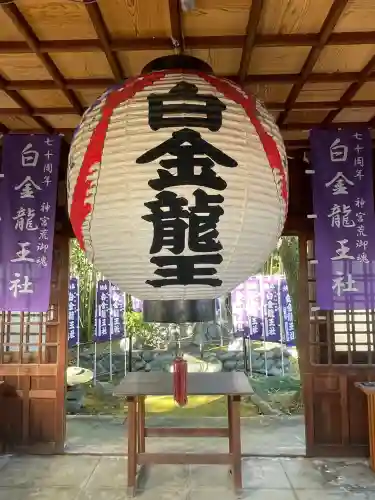 白金龍王社(愛知県)