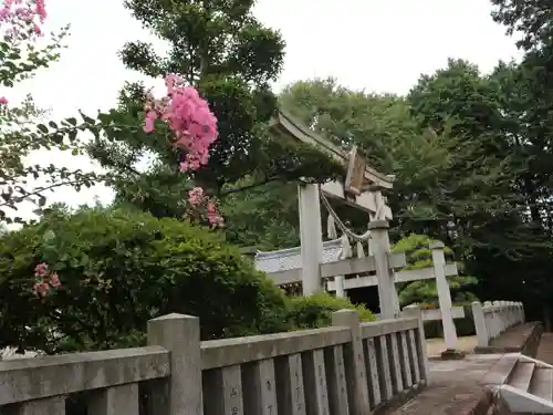 加茂神社の鳥居