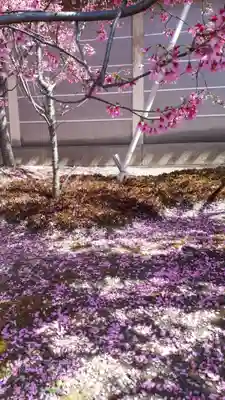 長徳寺(京都府)