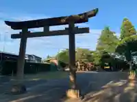 白幡神社の鳥居