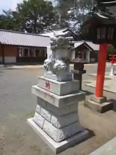 白岡八幡神社の狛犬