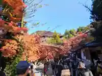 清水寺 音羽の瀧 不動明王(京都府)