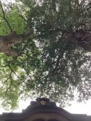 新海三社神社(長野県)