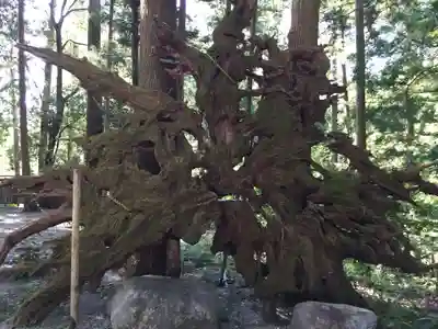 水屋神社(三重県)