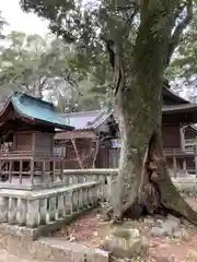 新宮八幡神社の自然