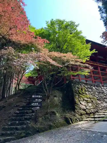 比叡山延暦寺(滋賀県)