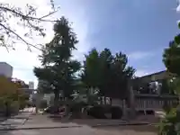 福井神社(福井県)