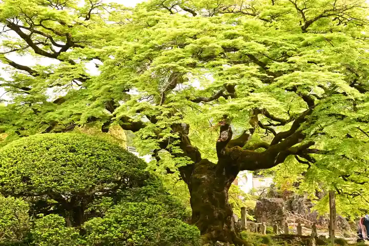 西善寺(埼玉県)